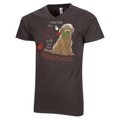 God Sent Me A Goldendoodle - Men's V-Neck
