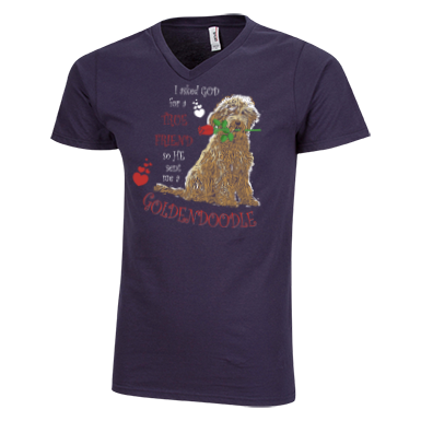 God Sent Me A Goldendoodle - Men's V-Neck