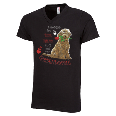 God Sent Me A Goldendoodle - Men's V-Neck