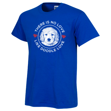 There is no Love Like Doodle Love - Gildan T-Shirt