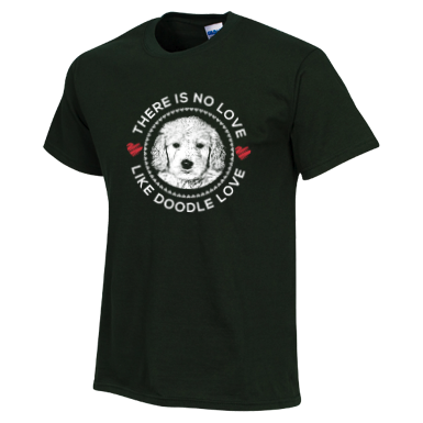 There is no Love Like Doodle Love - Gildan T-Shirt