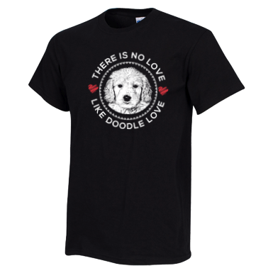 There is no Love Like Doodle Love - Gildan T-Shirt