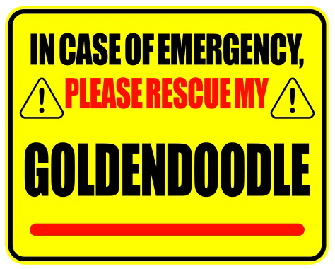 Rescue My Goldendoodle (Set of 3)